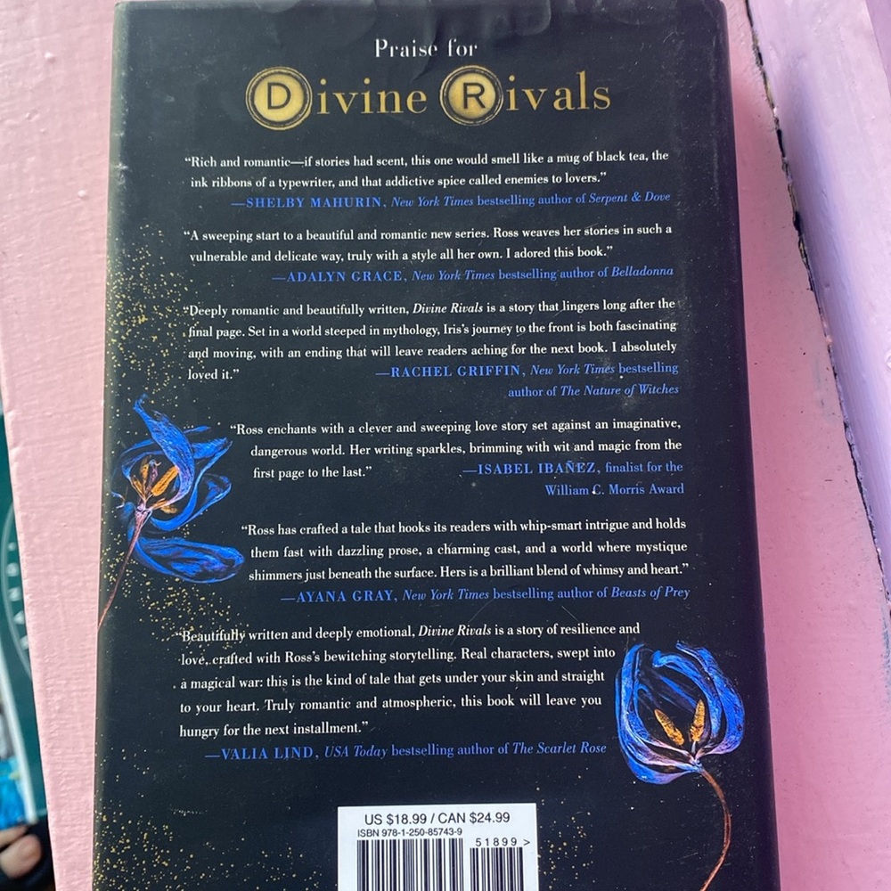 Devine Rivals Excellent Condition. Fantasy Romance - Picture 2 of 2